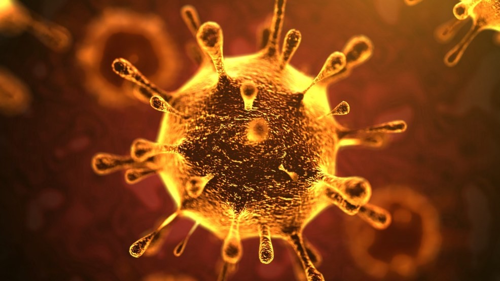 Il coronavirus chi sta lasciando indietro?