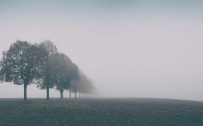 A cosa serve la psicologia? Una risposta nell’elaborazione del lutto